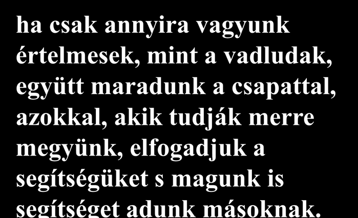 2. tény: Ha egy vadlúd kiesik a csapatból, Tanulság: azonnal megérzi a légellenállást és ha csak annyira vagyunk gyorsan visszatér a helyére, hogy újra értelmesek, mint a vadludak,