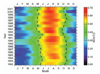 NOAA AVHRR Pathfinder NDVI adatok feldolgozása korábbi munkákban