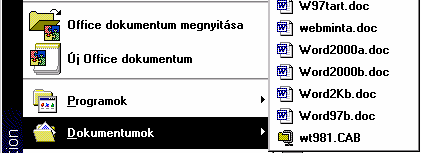 PROGRAMTELEPÍTÉS ÉS ELTÁVOLÍTÁS 23 zel jelentősen meggyorsíthatjuk munkánkat, ha gyakran előfordul, hogy azonos típusú dokumentumokkal dolgozunk. Az OK nyomógombra kattintás után a Word betöltődik.