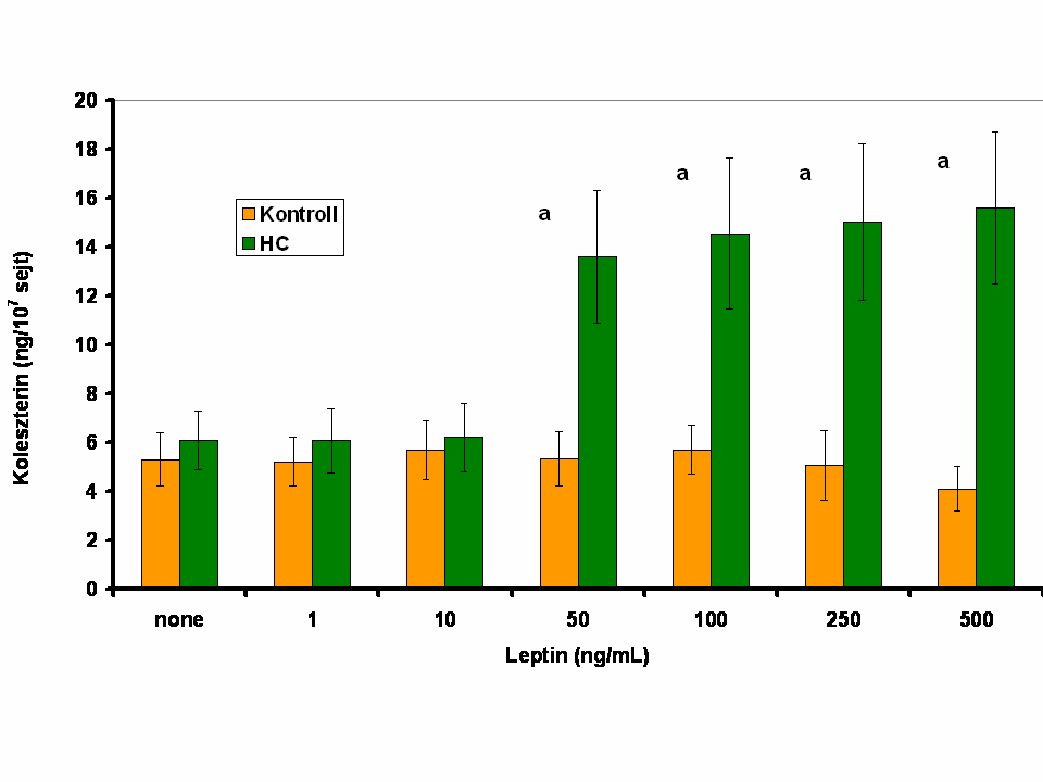 86 monocitákban az endogén koleszterin szintézis magasabb mint a kontroll sejtekben. A továbbiakban az is kitőnik, hogy a kontrollokban a nagy leptin koncentráció hatására a szintézis csökkenése 50.