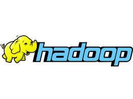 Hadoop & IBM Spectrum Scale Storage "Customers who bought this were also interested in " replicating disks