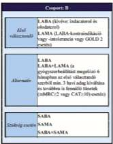 Túlélés valószínűsége 1/12/2017 Gyakori exacerbációk hatása a túlélésre COPD-ben 31/2010. (V. 13.) EüM rendelet 1.0 0.8 0.6 0.4 0.2 Nincs exacerbáció p<0.001 1-2 exacerbáció p=0.