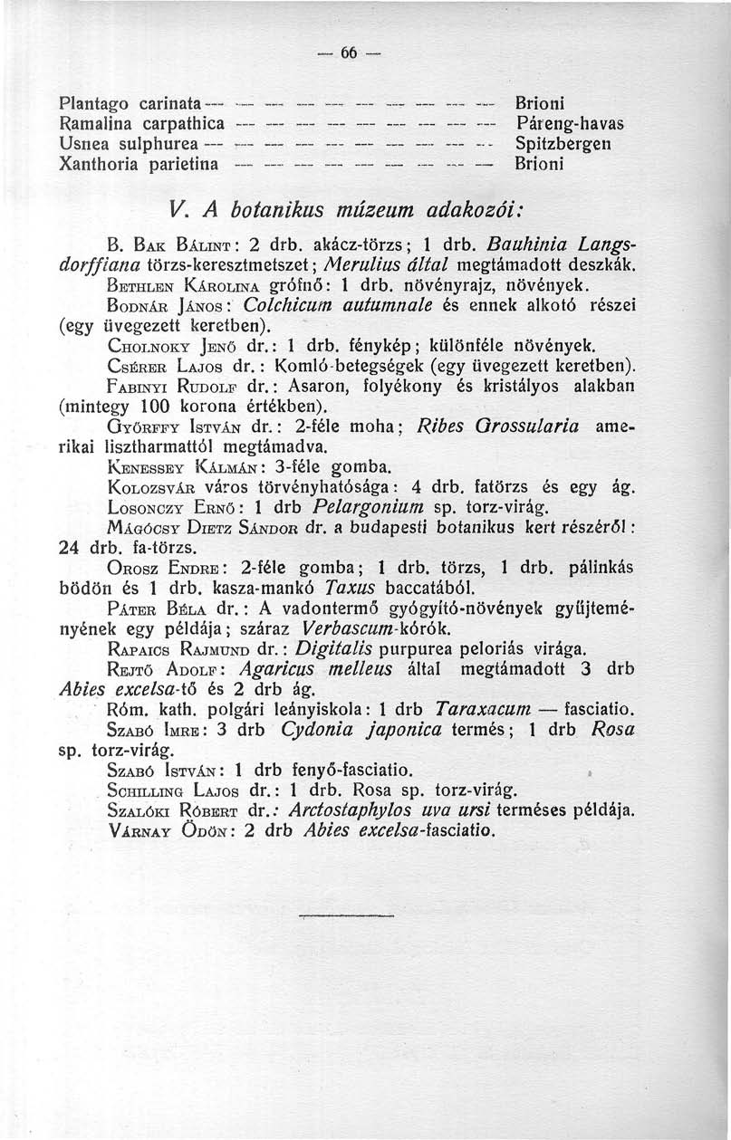 66 Plantago carinata Brioni Ramalina carpathica -- - -~ Páreng-havas Usnea sulphurea r - - Spitzbergen Xanthoria parietina Brioni V. A botanikus múzeum adakozói: B. BAK BÁLINT: 2 drb.