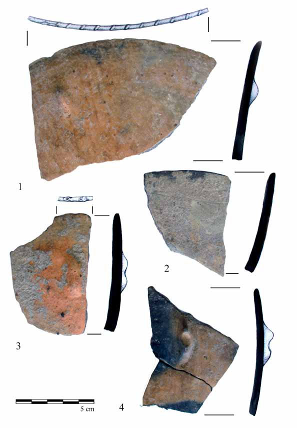 100 L. Hajdú Melinda 5. kép. 1 4. Táltöredékek a neolit gödör anyagából. 1 3: egyszerű kónikus tál; 4: gömbös testű tál. (Fotó: L. Hajdú Melinda, rajz: Nagy S. József.
