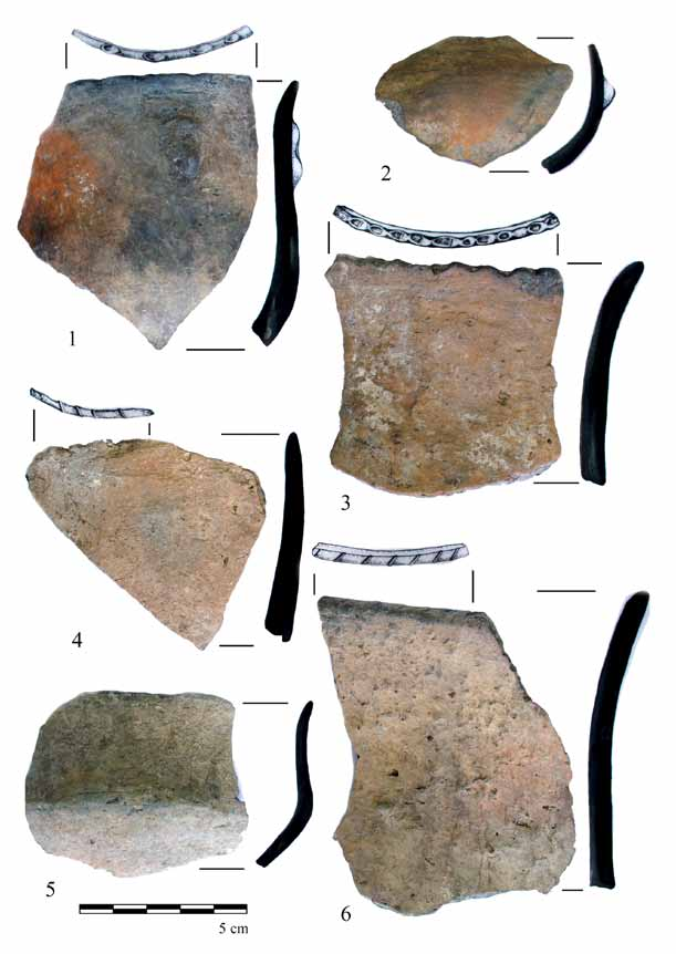 Késő neolitikus település Tiszatardosról (Borsod-Abaúj-Zemplén megye) 101 6. kép. 1 6. Edénytöredékek a neolit gödör anyagából. 1 2: csésze; 3, 6: fazék alakú edény; 4 5: tál. (Fotó: L.