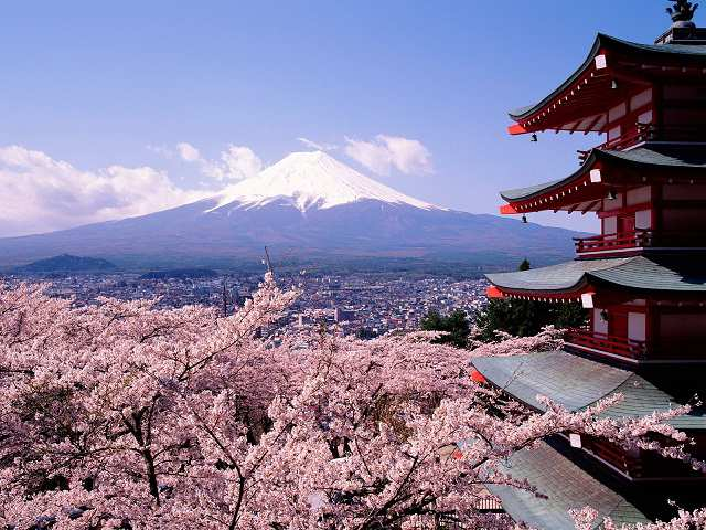 A Fuji és a cseresznyefák Szövegértési feladatok Amikor virágoznak a cseresznyefák 2014. április 12-22. Egy fantasztikus utazás, amit sosem felejtünk el!