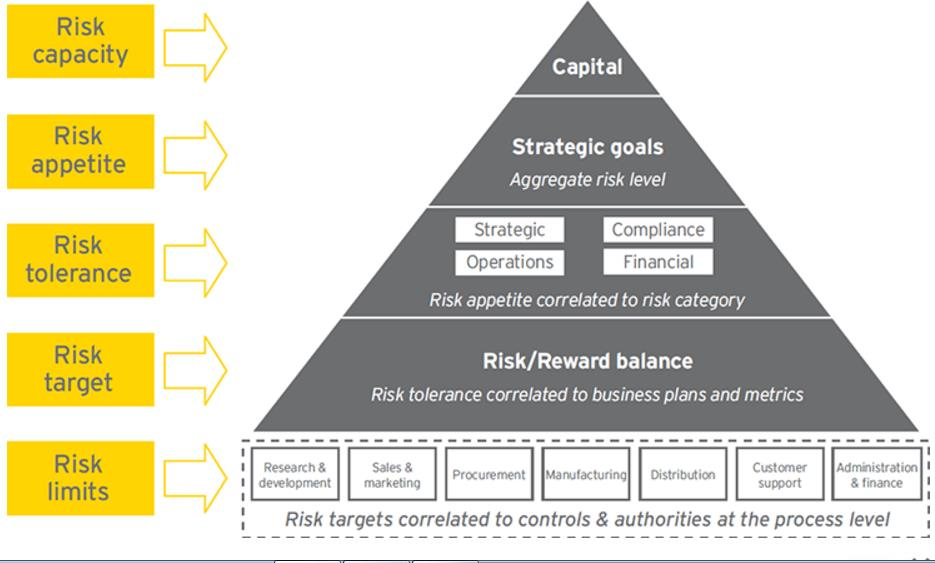 Risk Piramis http://www.ey.