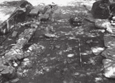 Láng Orsolya 8. kép. A geofizikai felmérés értelmezett rajta (Geomega Kft.) 9. kép. Csaplyukak a pince déli és keleti falában (2010.
