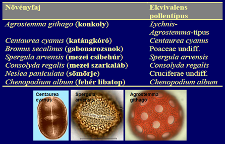 24 Pollen analízis és alkalmazása a régészetben 16.