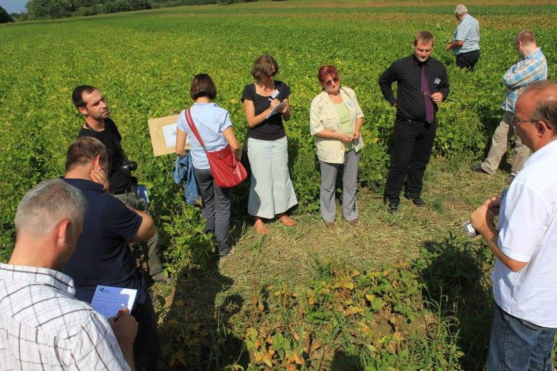 Tornyiszentmiklós, on-farm