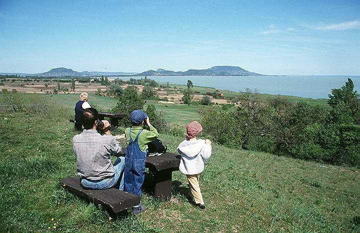 Régió vendégforgalmának hatása a vízminőségre Kedvező hatások: Horgászturizmus: elősegíti a Balatonban nem kívánatos halfajok fogását és eltávolítását - a halászatot vissza kellene szorítani a