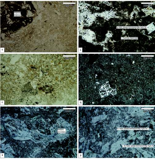 342 FARICS Éva et al.: A Budai-hegység felső-eocén összletének bázisán települő törmelékes üledékes kőzetek petrográfiai jellegei mm. Az álalakokat mozaikos kvarc és kaolinit tölti ki.