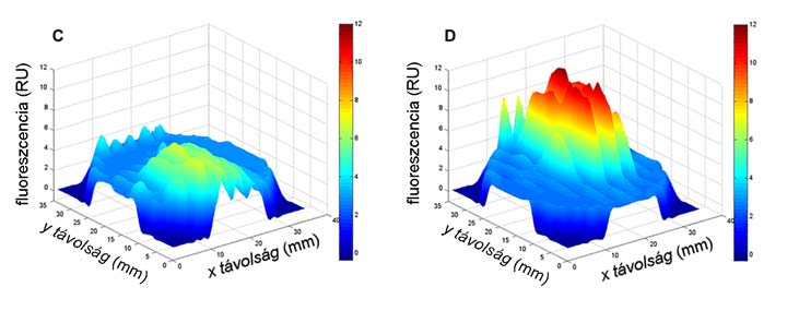 fibrinolitikus potenciálja ellensúlyozhatja a protrombináz komplex kialakulásában betöltött kedvező szerepüket, amelyekre régebben figyeltek fel [184]. 4.7.2.