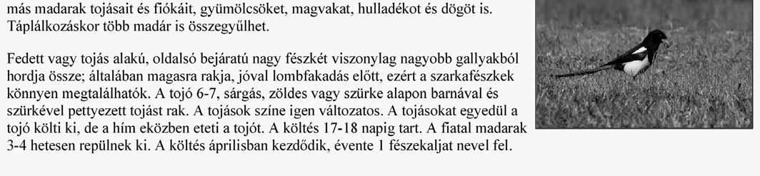 2. Szarka Készítsen weblapot a városokban egyre gyakoribb madár, a szarka bemutatására a következ minta és leírás szerint! A feladatban két weboldalt és egy képet kell majd elkészítenie.