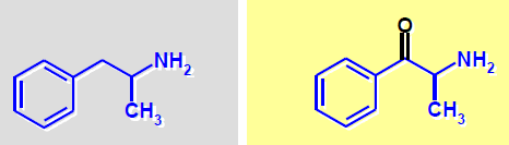 butylone, dimethylcathinone, ethcathinone, ethylone, 3-4- fluoromethcathinone, mephedrone, methedrone, 3-4-methylene-dioxypyrovalerone (MDPV),