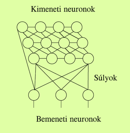 A neuráls hálózatok típusa Önszervező hálózatok: bonyolult felaatok pl. az agyűköés oellezésére alkalazzák. A Kohonen-hálóban pl. csak nput és output neuronok vannak.