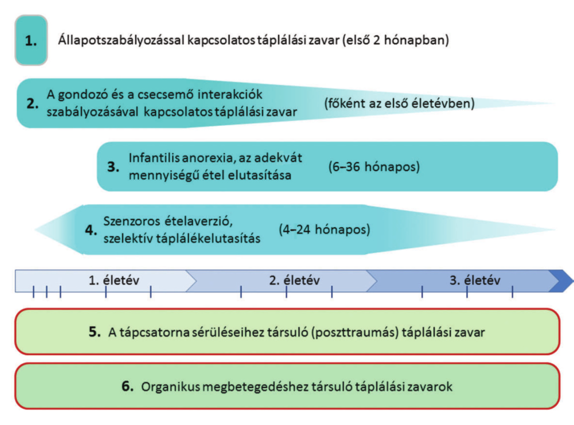 S C H E U R I N G: AZ E L S Ô H Á R O M É L E T É V T Á P L Á L Á S I É S T Á P L Á L KO Z Á S I Z AVA RA I 249 kisded részérôl, tovább súlyosbítva a fennálló kórképet.