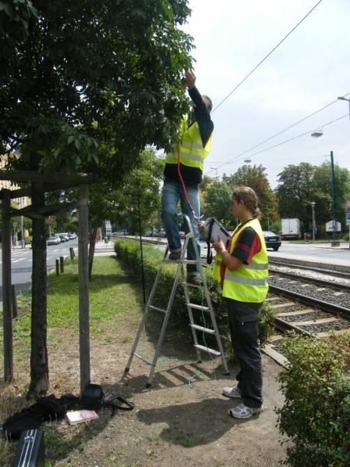 14 Az alkalmazási környezet hatása a Fraxinus excelsior Westhof s Glorie gázcseréjének napi menetére (Forrai M., Diószegi M. Juhász Á. és Hrotkó K.