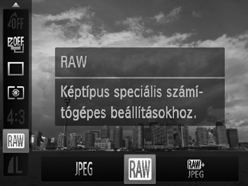 RAW képek készítése A RAW kép olyan nyers adatot tartalmaz, amely szinte egyáltalán nem torzul a fényképezőgépen belüli képfeldolgozás során.