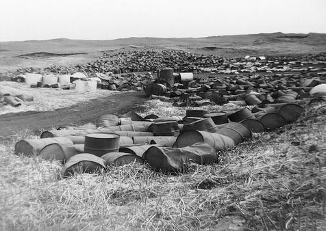 Fenntartható fejlődés? Természeti környezeti keretet ad és ellát élelem, víz, üzemanyag, ásványok, fémek, hulladékfeldolgozó 1960. Rachel Carson: Silent Spring 1967.