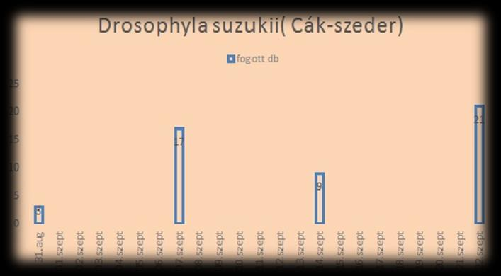 A Drosophila suzukii előfordulása Magyarországon Fertőrákos Hegyeshalom Nógrád Felsőzsolca Mezőcsát Kőszeg Veszprém Siófok Pusztaszentgyörgy Táska szőlő, Kőszeg