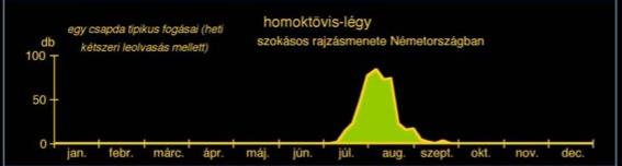 Homoktövis-légy -