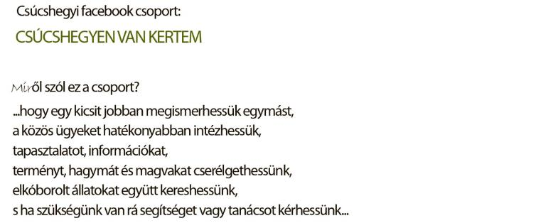 Erdei hírek Az Erdőalja út folytatásában ismét friss erdei szemét bukkant fel. Meghívást kérhet Pongrátz Anitától az anita.pongratz@gmail.