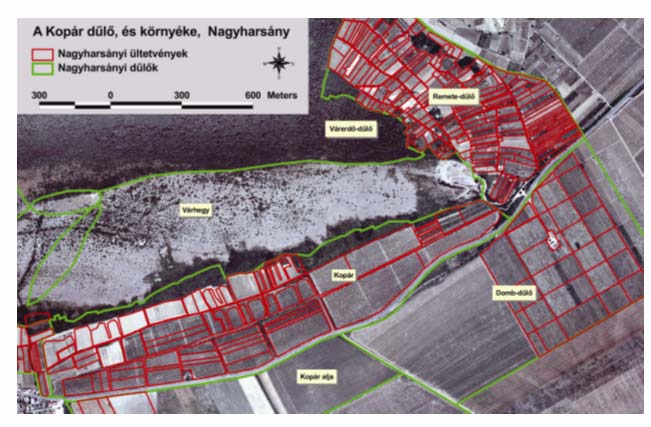 4.ábra: A dűlő- és az ültetvény fedvények A VINGIS működésének megkezdése után a 102/2004. (VI. 3.) FVM rendelet 7.