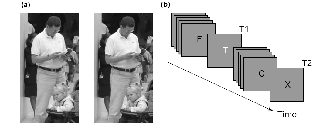 Figyelem és implicit ingerfeldolgozás Attentional blink: gyorsan, ugyanott, egymás után bemutatott ingereknél a második célingert nem veszik észre (200-500 ms ingerek közötti időintervallumban)