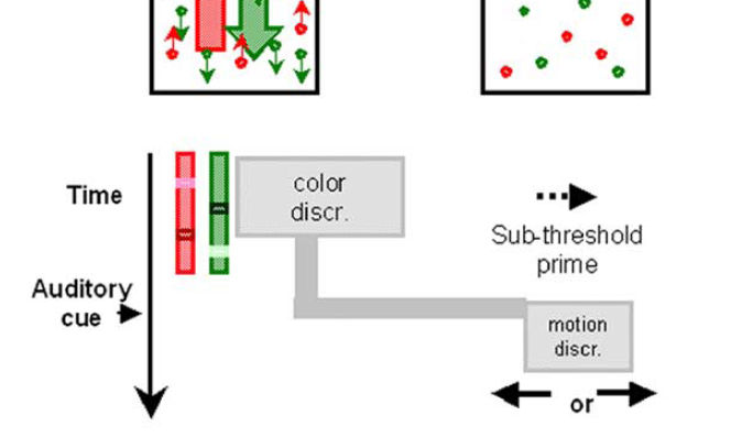 Implicit figyelmi szelekció 1. Figyelje egy tárgy színét a látómező egy részében (pl. piros pöttyök) 2.