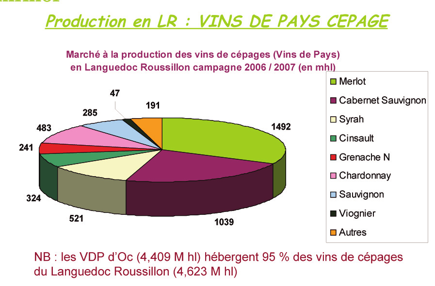 Filière viti-vinicole dans l Hérault SZŐLÉSZETI BORÁSZATI VERTIKUM HERAULT-BAN GRAPE AND WINE PRODUCTION IN HERAULT TERMÉKSZERKEZET HERAULT-BAN PRODUCTION UNITS IN HERAULT Magántermelő Private