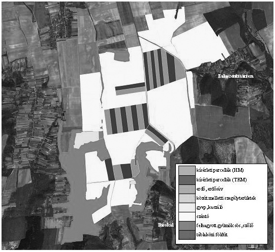 A hagyományos és a talajkímélő művelés madártani viszonyai 449 4. ábra A vizsgált terület egyszerűsített felszíntérképe a megfigyelések utolsó évében (2008), 2006-os Google Earth felvételen Figure 4.