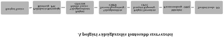 ábra A fent említett sokrétû feladatok tervezésére és irányítására az EU 2007 augusztusában döntést hozott a Polgári Tervezõ és Irányító Képesség 15 (PTIK) nevû szervezet