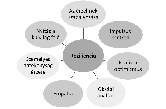 VII. Reziliencia, avagy a boldogulási képesség és a szupervízió 87 tovább is fejlesztjük ezt, valami számunkra is váratlan, pozitív, előre mutató kiutat találva az egyébként szorongató helyzetből.