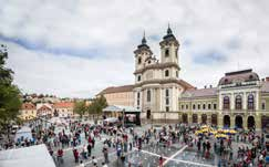 Taste the famous wines of Eger with the help of local wine producers.