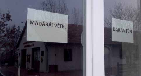 Aki bármilyen beteg vadmadarat észlel, most ne nyúljon hozzá, hanem hívjon közvetlenül engem, a +36 (30) 9435-494-en, vagy diszpécser szolgálatunkat a +36 (30) 535-6484-es telefonszámon.