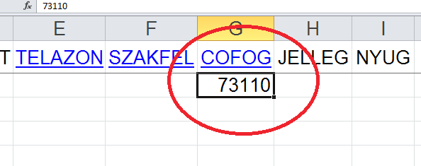 5. Kézzel történő adatrögzítés Amennyiben a bérszámfejtési rendszerből nincs lehetőség az intézményi és/vagy a jogviszony állományok generálására, a weboldalról letölthető Excel tábla több formában