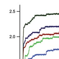 Megnyúlás (nm) Titin kitekeredés konstans erőnél 1 4 38 36 34 32 3 28 26 Monoexponenciális Singleexponential görbeillesztés