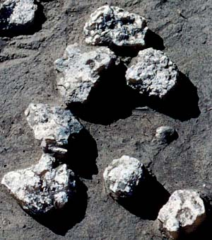 főzőkövek close-up view of cook stone made of tuff, site 41LK67 at Choke Canyon. UTSA-CAR Archives. http://www.