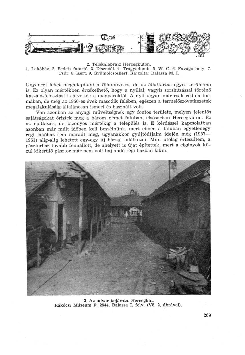 M 1250 2. Telekalaprajz Hercegkúton. 1. Lakóház. 2. Fedett fatartó. 3. Disznóól. 4. Trágyadomb. 5. W. C. 6. Favágó hely. 7. Csűr. 8. Kert. 9. Gyümölcsöskert. Rajzolta: Balassa M. I.