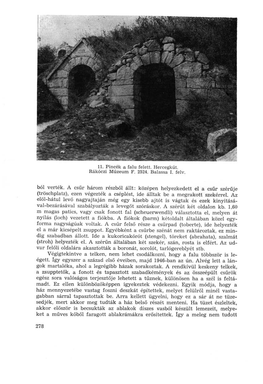 11. Pincék a falu felett. Hercegkút. Rákóczi Múzeum F. 2524. Balassa I. felv. ból verték.
