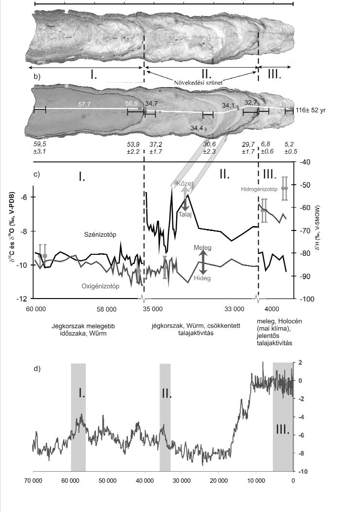 84 SIKLÓSYZoltán et al.: A cseppkövek kormeghatározása és azok paleoklimatológiai jelentősége 4. ábra. a) A BAR. VIII-as cseppkőminta képe (Baradla-barlang).