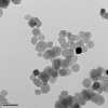 deponálódnak. - PM 10-2,5 (2,5 10 µm) nagyságú részecskék már lejutnak a hörgıkbe, károsítva a szöveteket.