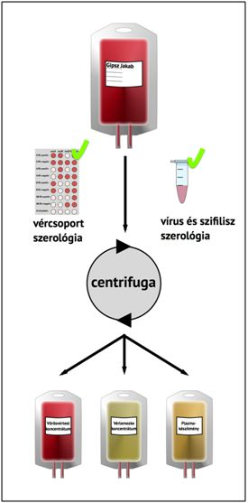 A vérkészítmények felhasználása A transzfúzióra, amennyiben lehetséges az OVSZ től rendelt vérrel történik.