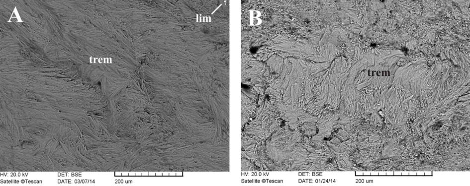 212 Fig. 3.: A-B) BSE-photomicrograph: rock texture (type 1). (Abbreviations: trem - tremolite, lim - limonite) 3. ábra: A-B) Visszaszórt elektronkép fotó: szöveti kép (1. típus).