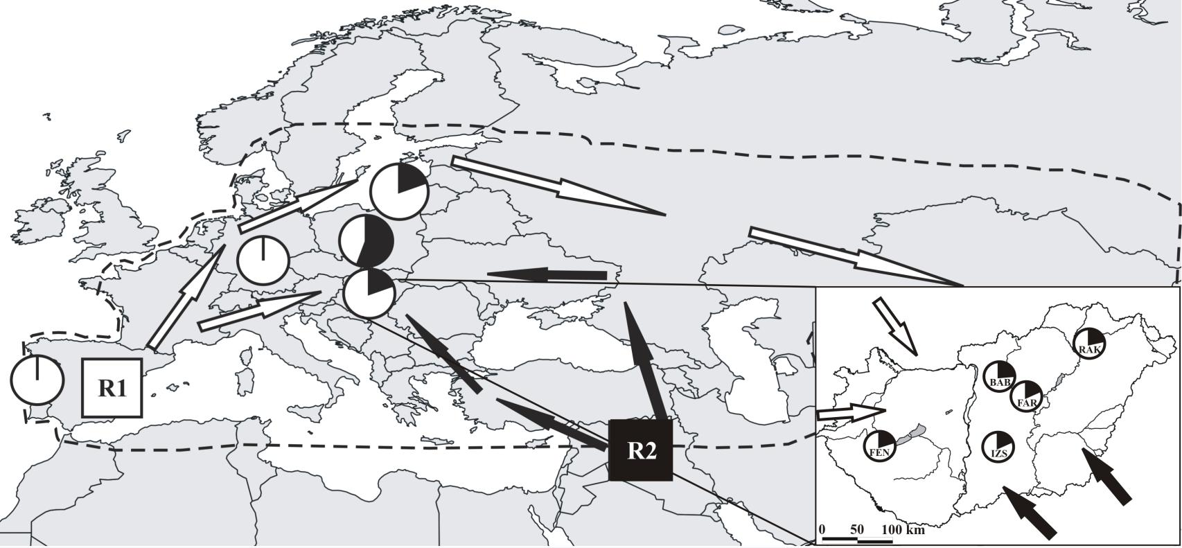 2. ábra: A nádirigó esetében kimutatott két haplotípus csoport feltételezett refúgiumai (R1 és R2) a visszaterjedés irányaival (forrás: Hansson és mts., 2008).