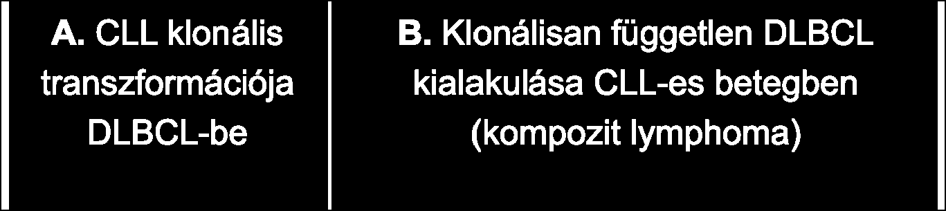 (A, lymphoma transzformáció) A CLL klonális transzformációja DLBCL-be a nem mutált