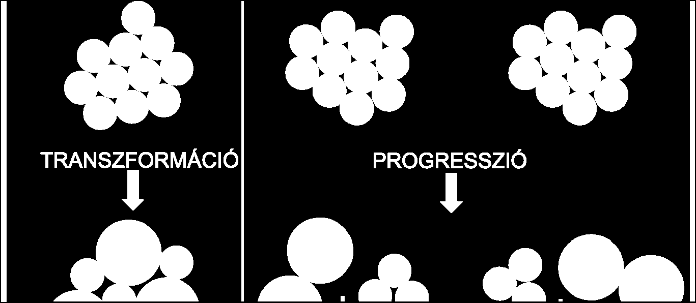 A munkánk során végzett IgV H gén mutációs státuszának analízise arra enged