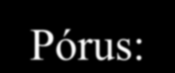 A talaj pórustere Pórus: A szerkezeti elemek és az elemi szemcsék közti tér.