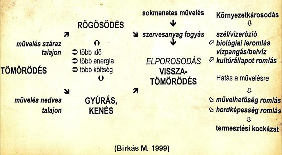 A szakszerűtlen művelés